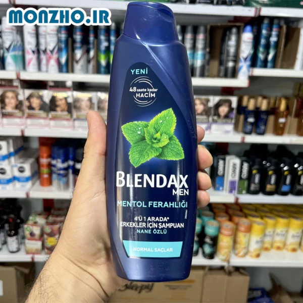 شامپو سر مردانه بلنداکس BLENDAX مخصوص موهای نرمال حجم 500 میل - تصویر 2